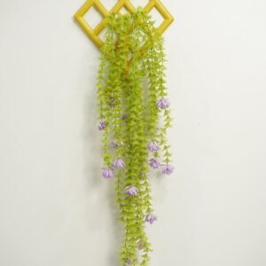 শাপলা ঝাড়