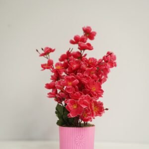 চেরি ফুলের টপ