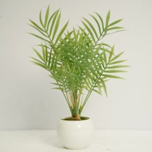 খেজুর গাছ টপ