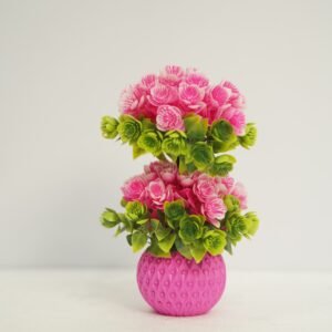 দুই মাথা বনসাই টপ