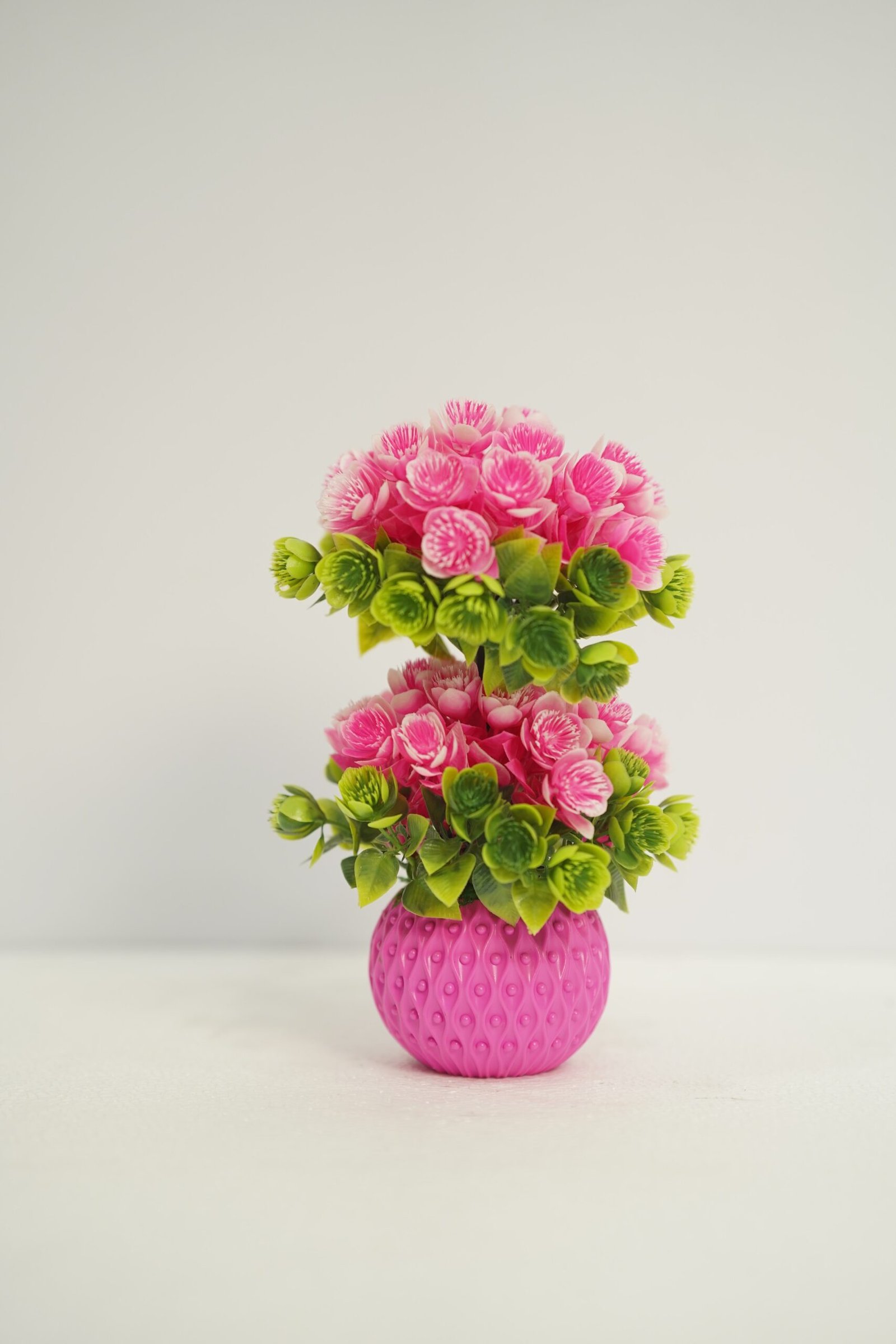 দুই মাথা বনসাই টপ