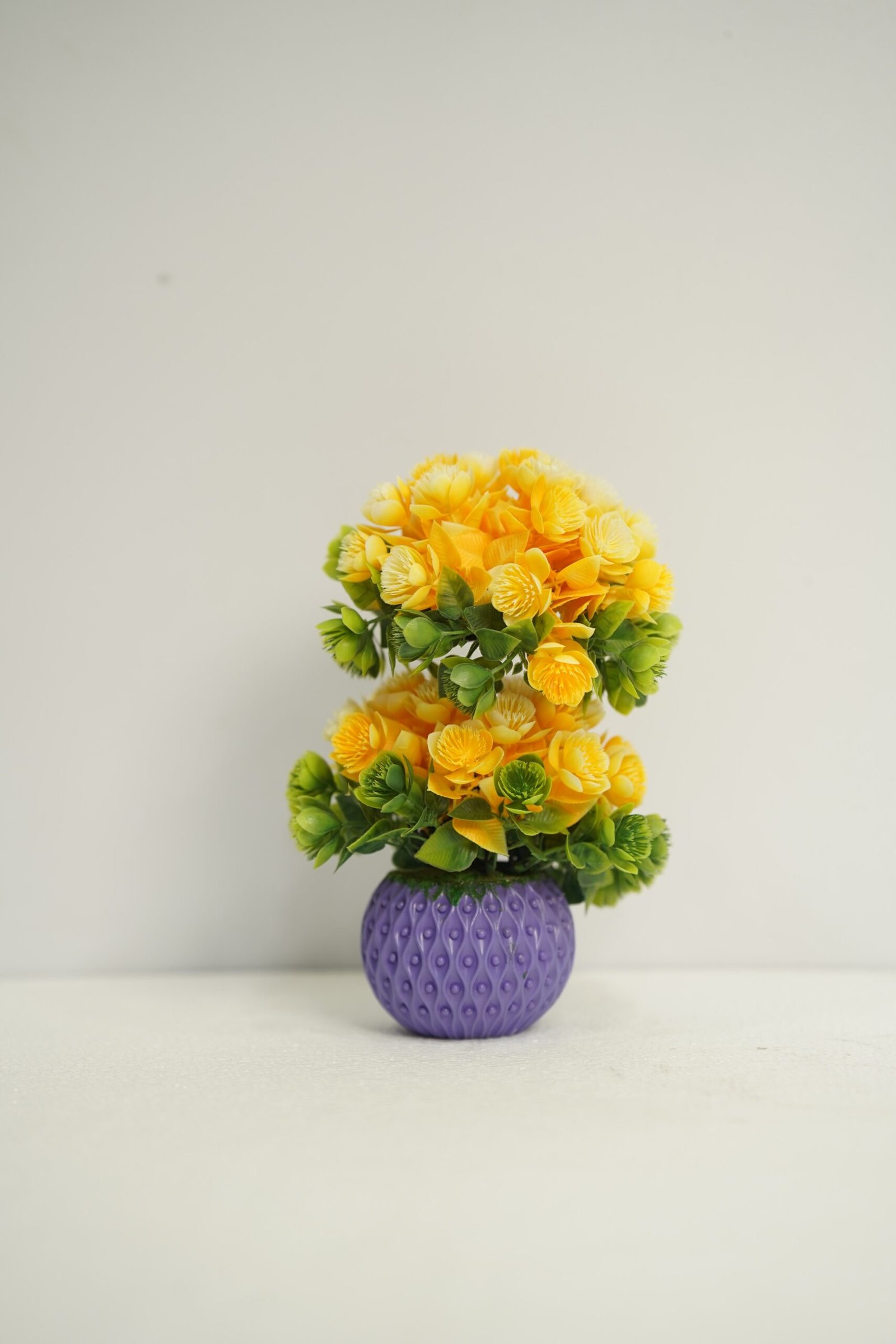 দুই মাথা বনসাই টপ - Image 2