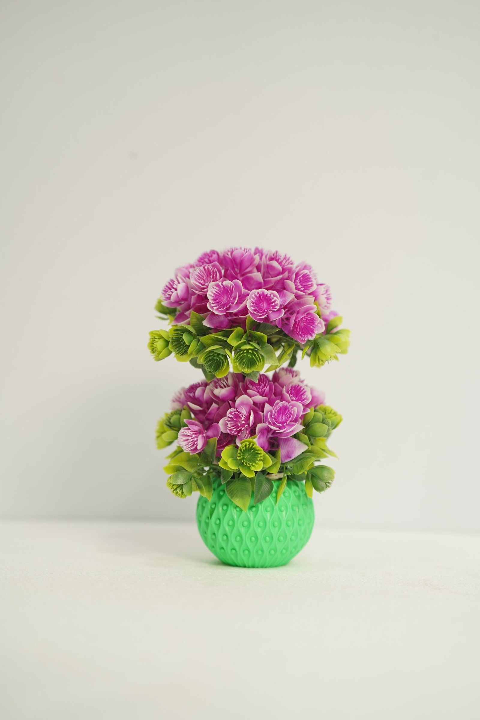 দুই মাথা বনসাই টপ - Image 4