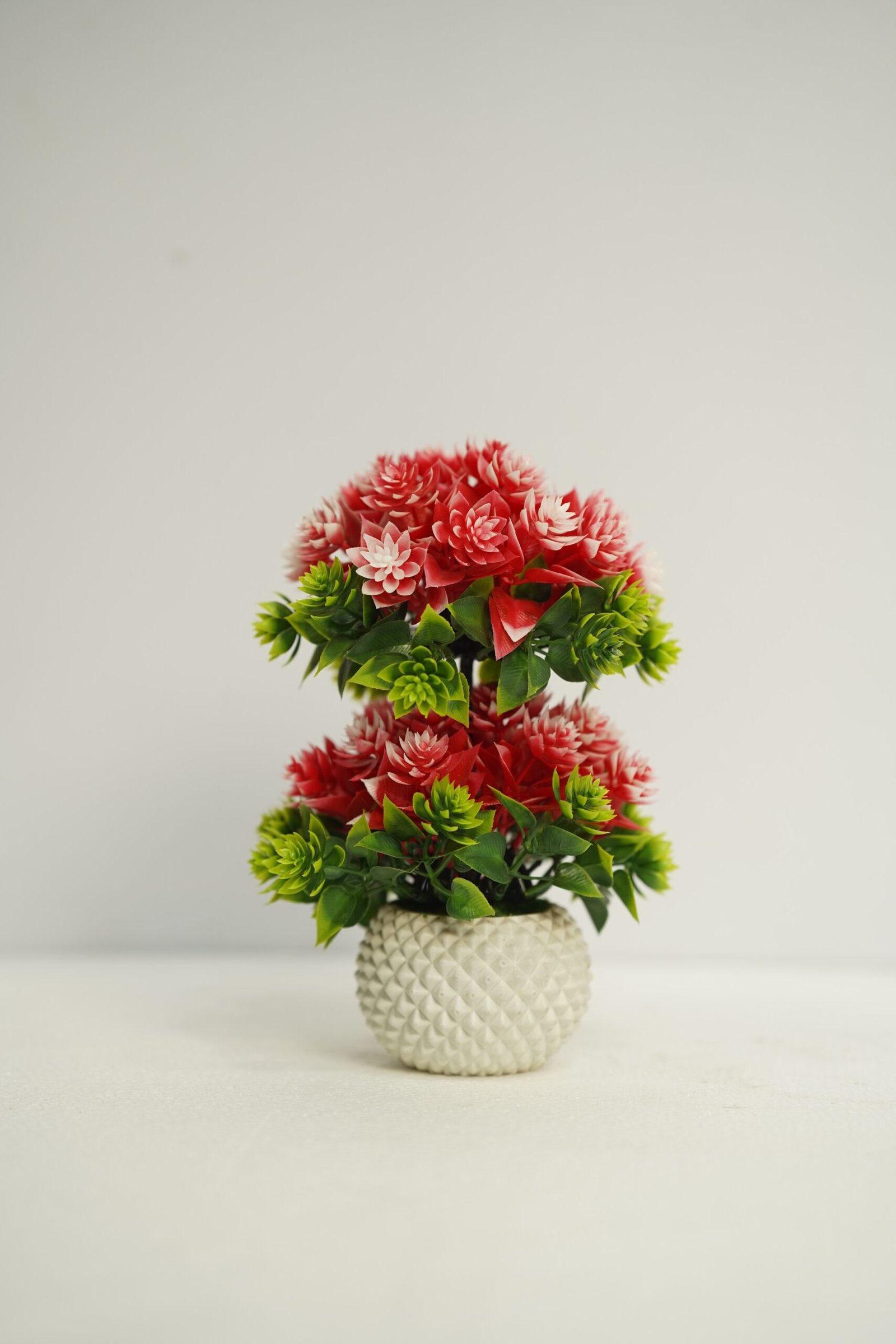 দুই মাথা বনসাই টপ - Image 3