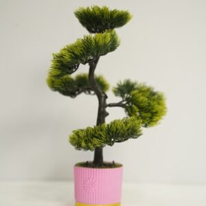 পাঁচমাথা বনসাই টপ