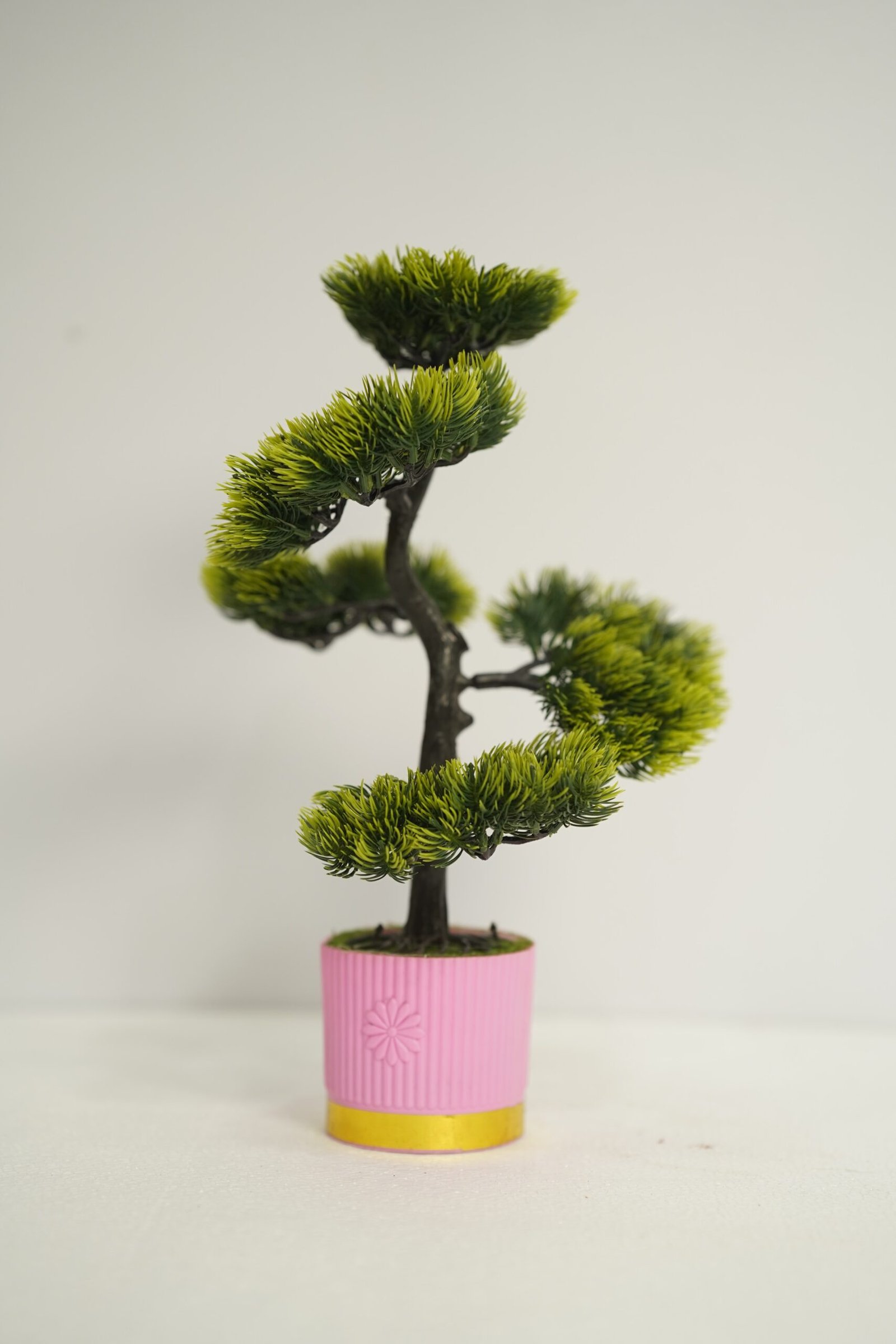 পাঁচমাথা বনসাই টপ