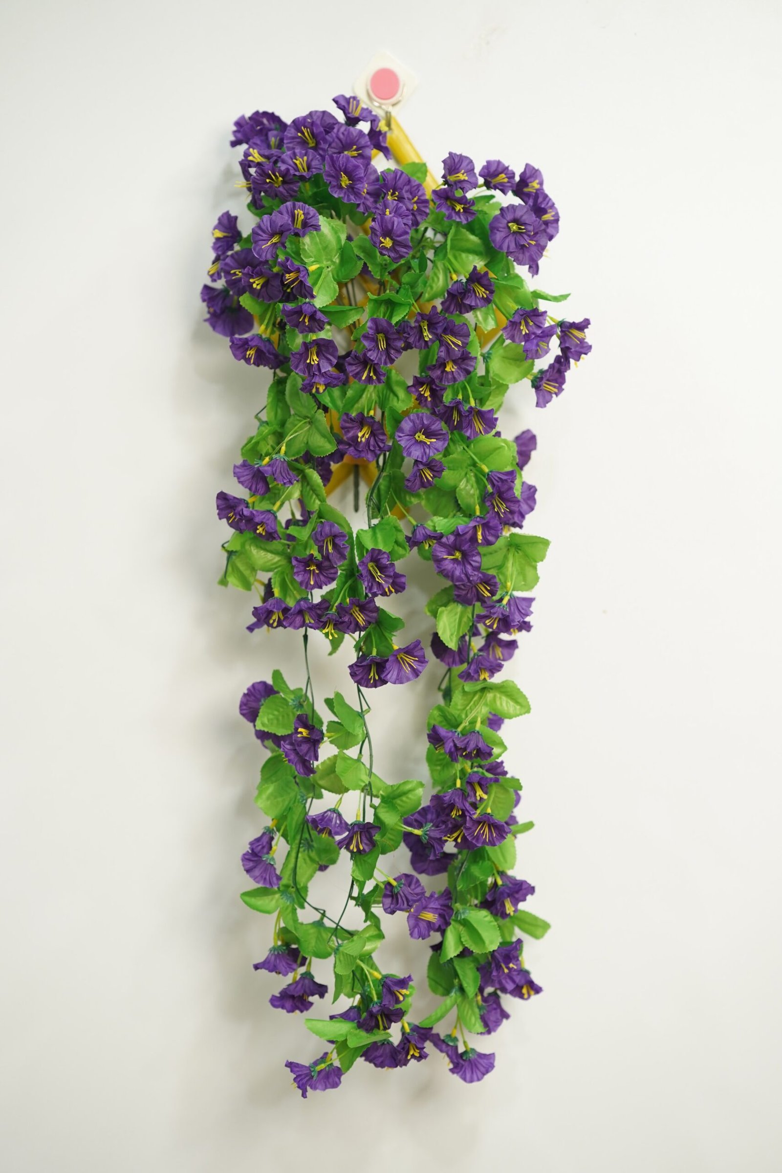 কোমলি ফুলের ঝাড় - Image 2