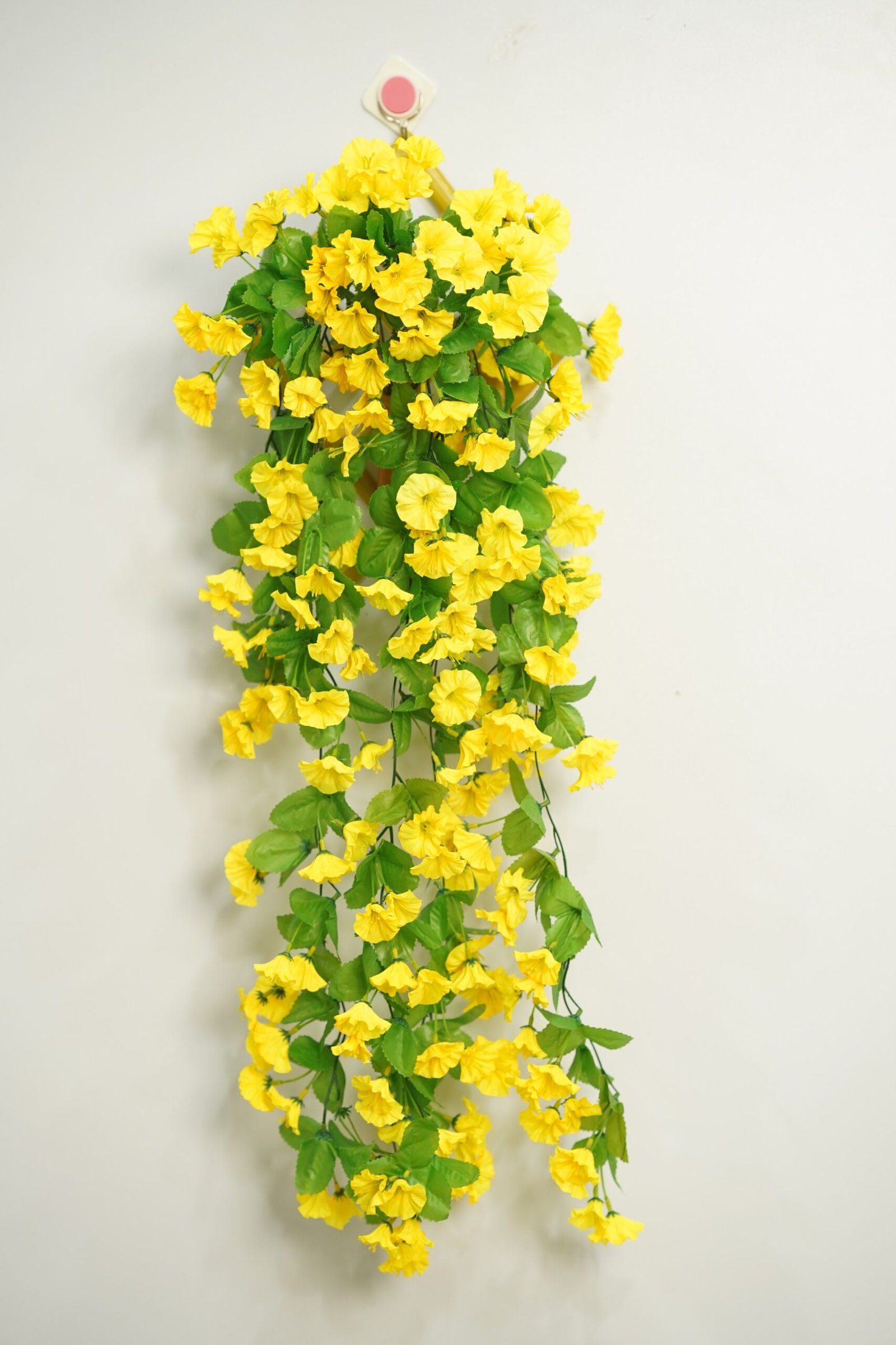 কোমলি ফুলের ঝাড়